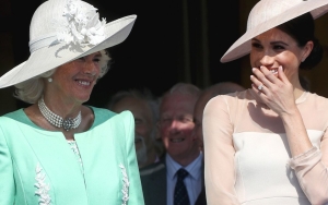 Camilla Istri Prince Charles Resmi Gantikan Posisi Penting Meghan Markle Ini