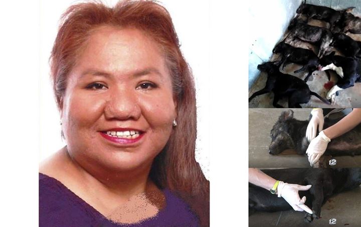 Tragis Banget, Wanita Oklahoma Tewas Seketika Setelah Diserang 7 Anjing Kecil