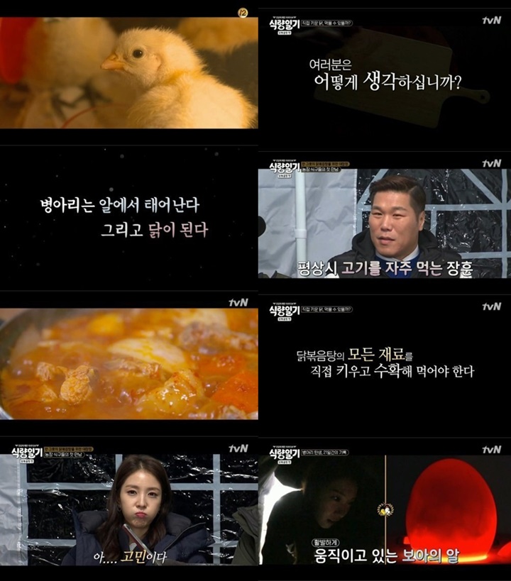 Besarkan Anak Ayam Untuk Dimakan, Reality Show Baru BoA cs Tuai Pro Kontra