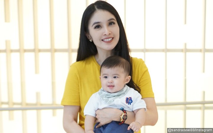 Pamer Foto Dirias, Sandra Dewi Dipuji Kembali Ramping Seperti Gadis Belum Menikah