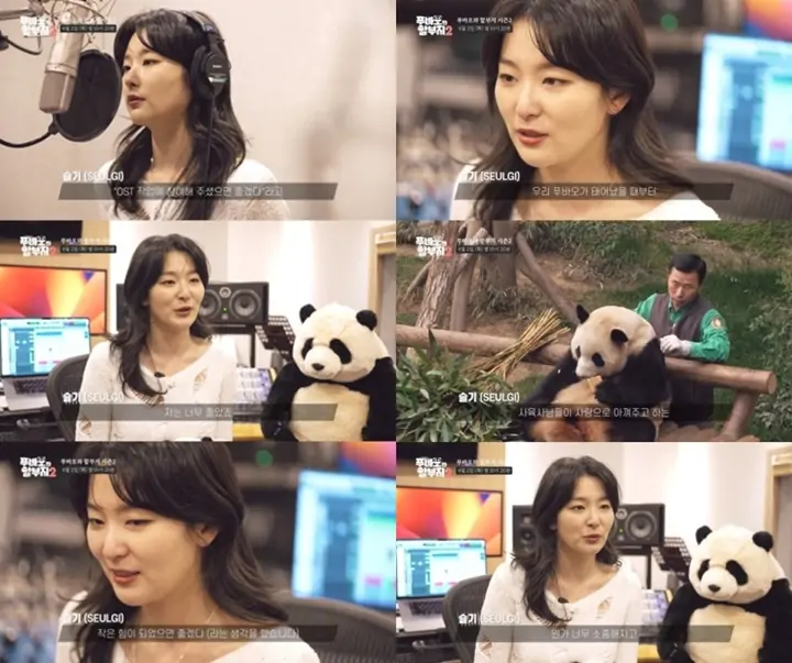 Seulgi Red Velvet Nyanyikan Lagu Perpisahan untuk Panda Fu Bao Sang Idola