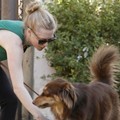 Amanda Seyfried Bersama Anjingnya, Finn