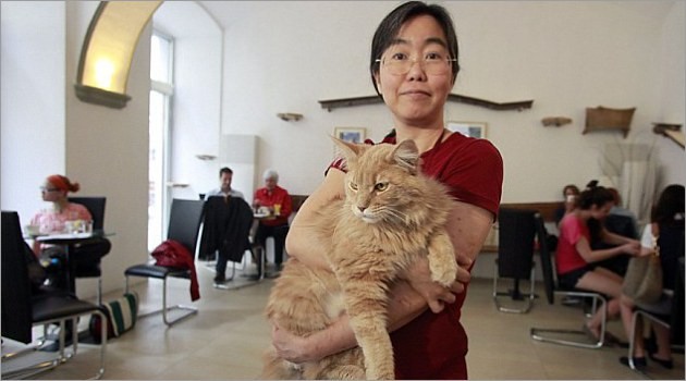 Foto: Takako Ishimitsu, pemilik Cafe kucing di Wina, Austria