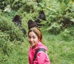 Jajal Wisata Menarik Bertemu Gorila