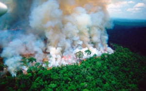 Terparah Dalam Sejarah, Kebakaran Amazon Capai 28 Kali Luas Jakarta