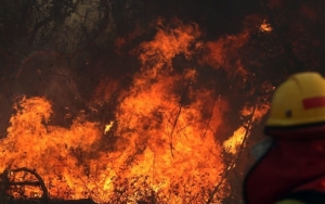 Brazil Kerahkan Militer Atasi Kebakaran Amazon Usai Tolak Bantuan Dunia