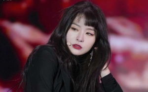 Seulgi Red Velvet Dituding Tukang Bully, Ini Bukti Gosip Tersebut Tak Benar