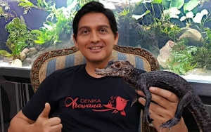 Lucky Hakim Jual Reptil Peliharaannya Hingga Ratusan Juta, Tekor Gara-Gara Pilkada?