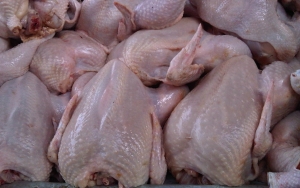 Susul Tahu-Tempe dan Daging, Kini Harga Gas Elpiji Non Subsidi Hingga Ayam Potong Ikut Naik