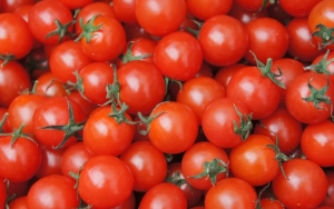 Ratusan Kilogram Tomat Segar Dibuang ke Tepat Sampah di Lumajang, Gara-Gara Kecewa Harga Anjlok?
