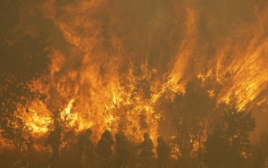 Kebakaran Hutan Besar di Perbatasan Jerman-Ceko Berpotensi Hancurkan Kawasan Wisata