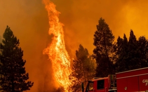 California Alami Kebakaran Hutan Terbesar di Musim Ini Hingga Timbulkan Korban Jiwa