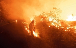 Di Tengah Gelombang Panas Baru Prancis, Picu Kebakaran Hutan Hebat