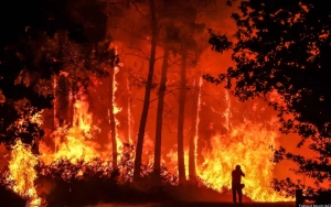 Kebakaran Hutan Meluas, Perdana Menteri Minta Prancis Adaptasi Hadapi Kerusakan Iklim