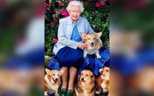 Setia Temani Semasa Hidupnya, Bagaimana Nasib Anjing Corgi Kesayangan Ratu Elizabeth II?