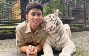 Alshad Ahmad Bersyukur Kontennya Tentang Bayi Harimau Trending 1 di YouTube