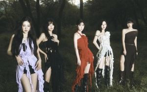 Red Velvet Dicurigai Kode Disband Efek Ganti Nama Instagram