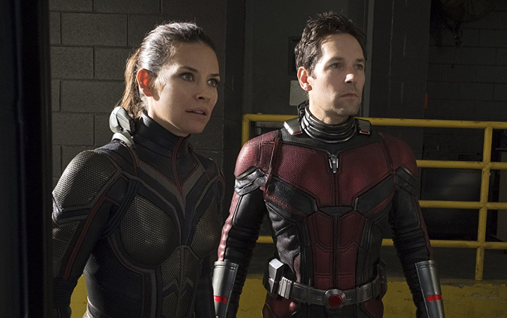 Siap-Siap, Peyton Redd Sebut 'Ant-Man and The Wasp' Versi Bluray Akan Ungkap Adegan yang Dihapus