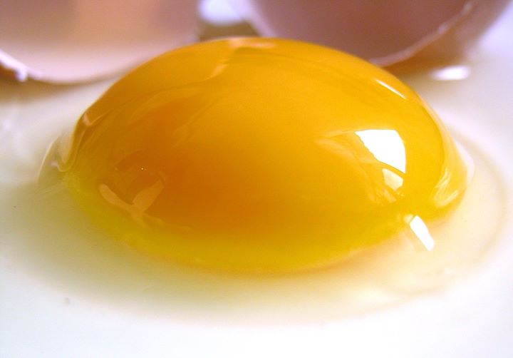 Telur Membantu Mencegah Alzheimer