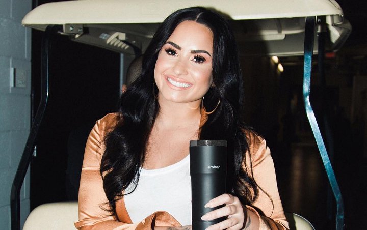 Sibuk Rehabilitasi, Rumah Demi Lovato Jadi Target Maling
