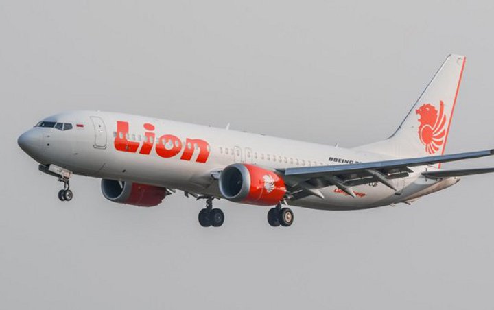 Berputar Hingga Menukik Tajam, Saksi Mata Mengaku Dengar Lion Air JT 610 Meledak Setelah Masuk Air