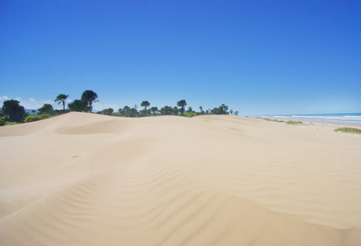 Padang Pasir Oetune di NTT Bagai Gurun Sahara Mini