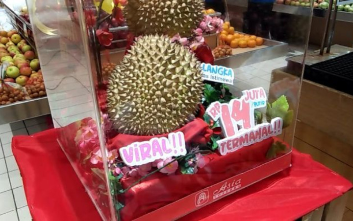Fakta-Fakta Durian J-Queen Seharga Rp 14 Juta yang Viral Hingga Kalahkan Mussang King Malaysia
