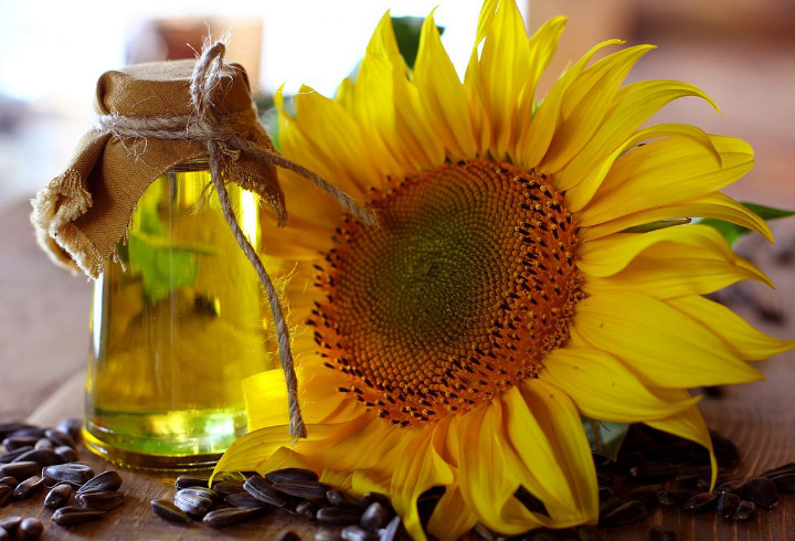 Minyak Bunga Matahari Cocok Digunakan untuk Menggoreng dan Pembuatan Kue