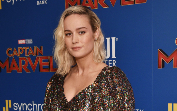 Orientasi Seksual Carol Danvers Jadi Perdebatan Penggemar 'Captain Marvel'