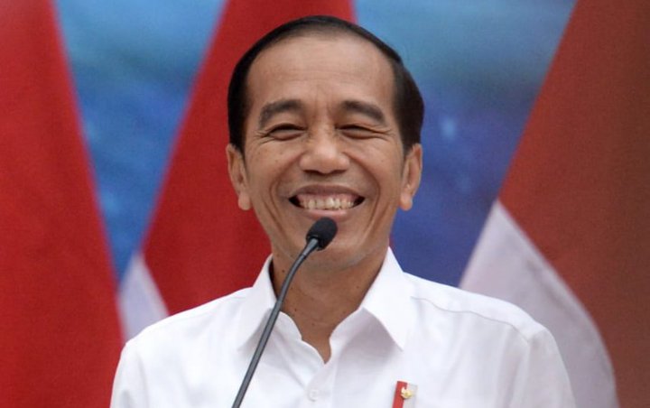 Didesak Beri Amnesti untuk Baiq Nuril, Begini Jawaban Jokowi