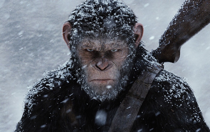 Disney Bakal Ambil Alih Seri 'Planet of the Apes'