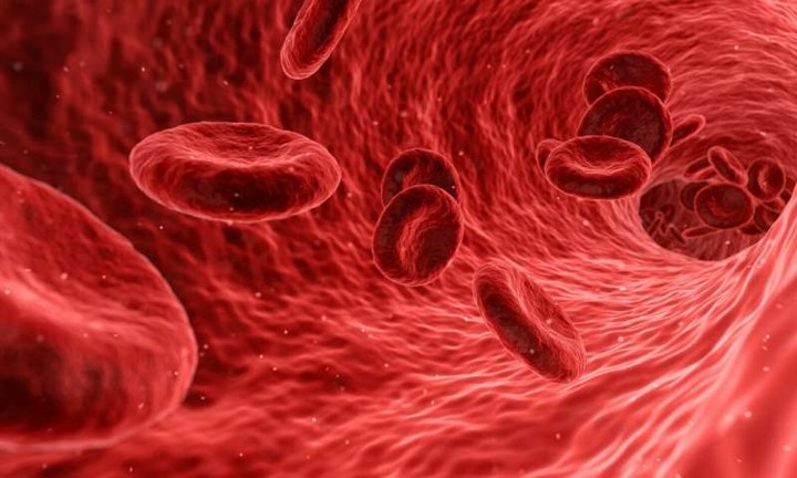 Dengan Donor Darah Produksi Sel Darah Merah Kita Justru Bakal Makin Meningkat Loh