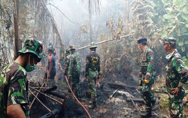 572 Hektare Hangus, Satgas Karhutla Sumatera Selatan Ancam Bakal Tembak Pembakar Lahan