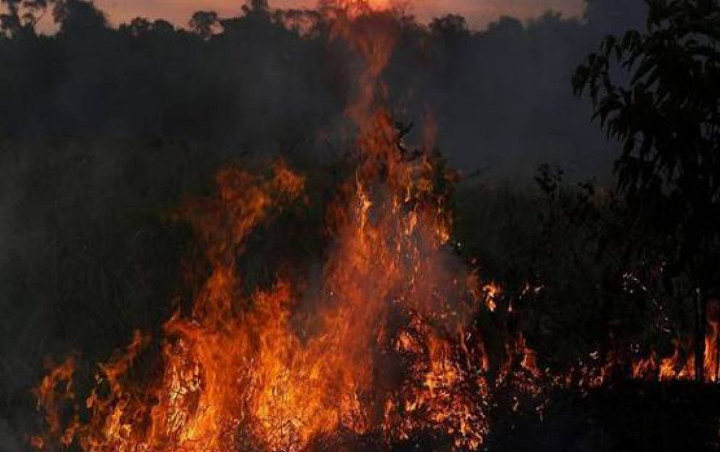 Kebakaran Besar di Hutan Amazon Disebabkan Ulah Manusia?