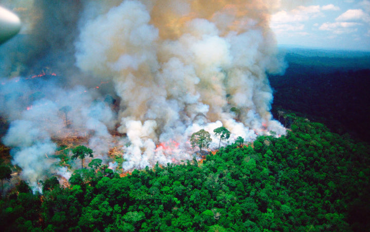 Terparah Dalam Sejarah, Kebakaran Amazon Capai 28 Kali Luas Jakarta