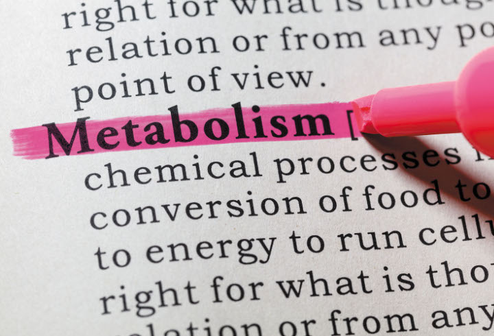 Tidak Sarapan Bakalan Membuat Metabolisme Kalian Menurun