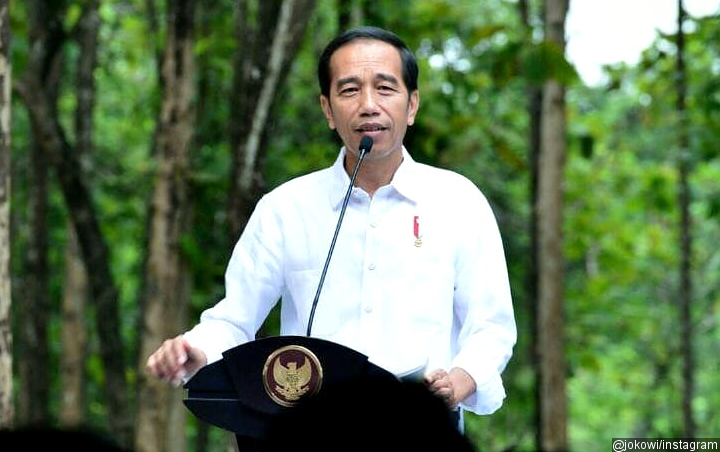 Pengamat Politik Sarankan Jokowi Tidak Buru-Buru Keluarkan Perppu KPK