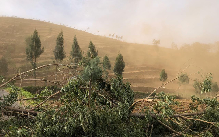 Angin Kencang Terjang Batu Jawa Timur, 1 Orang Tewas dan 550 Mengungsi