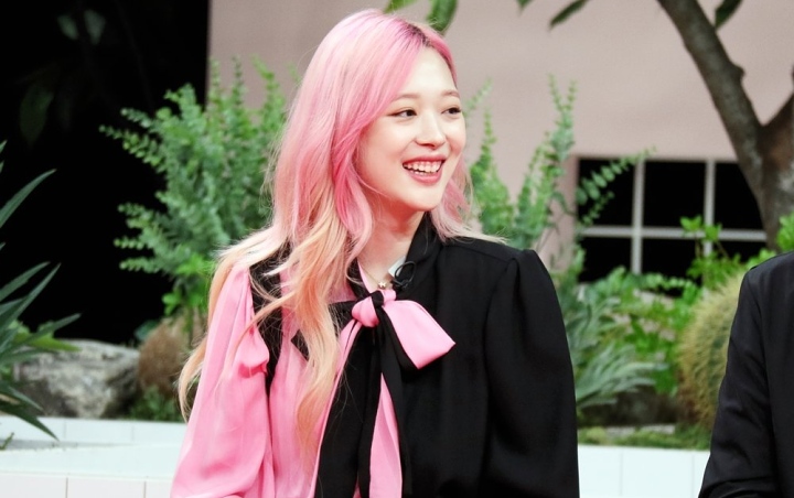 'The Night of Hate Comments' Tamat Usai Sulli Meninggal, Begini Respon Netizen