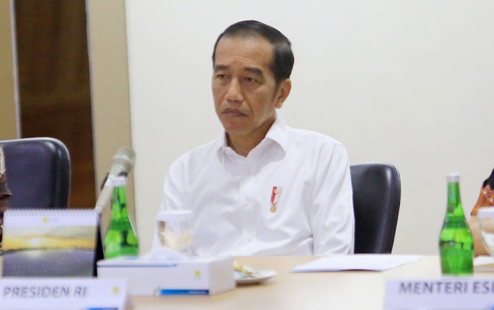 Batal Terbitkan Perppu KPK, Jokowi Sebut Dewan Pengawas Mulai Dijaring