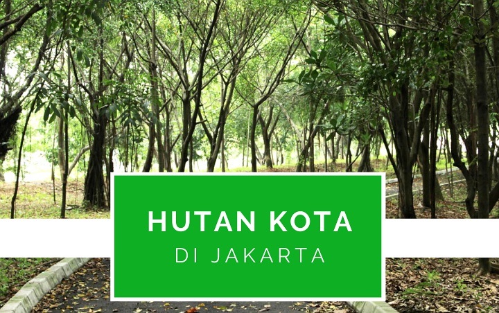 Penat dengan Hiruk Pikuk Jakarta? Datangi Saja 7 Hutan Kota Ini untuk Menyejukkan Pikiran