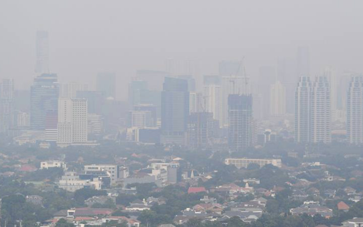 Geram Soal Polusi Udara, Warganet Ini Beri Solusi Nyata 'Bungkam' Pemprov DKI