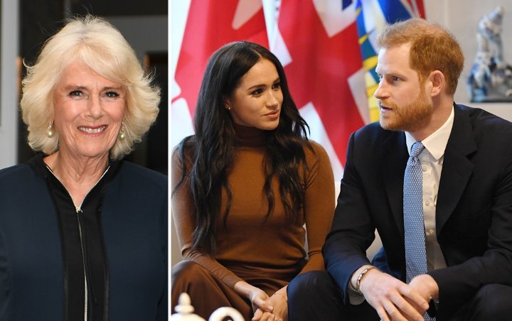 Reaksi Tak Terduga Camilla Istri Pangeran Charles Saat Ditanya Soal Mundurnya Harry dan Meghan