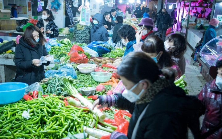 Kuliner Ekstrem dari Pasar Wuhan yang Diduga Sumber Virus Corona: Merak Sampai Koala