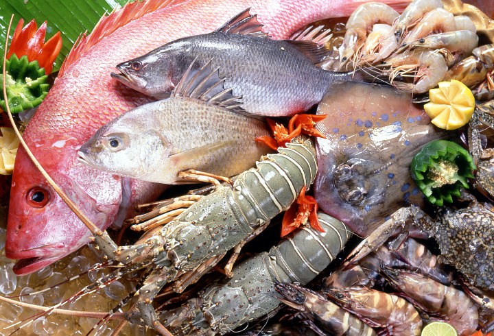 Makanan Laut dan Makanan yang Mengandung Zat Besi Juga Ampuh Untuk Menjaga Sistem Imun Tubuh