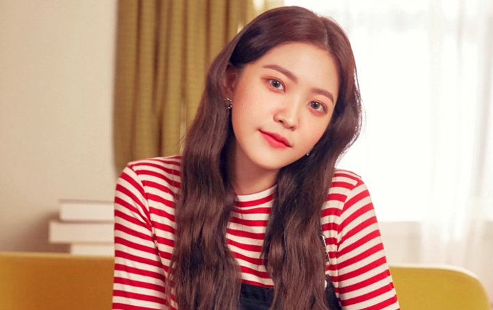 7 Best Of Yeri Red Velvet Debut Age - Kalasin K-POP