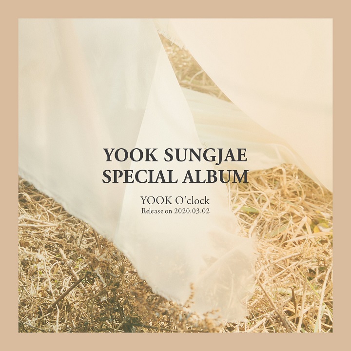 Sungjae BTOB Umumkan Bakal Segera Rilis Album Solo \'YOOK O’Clock\'