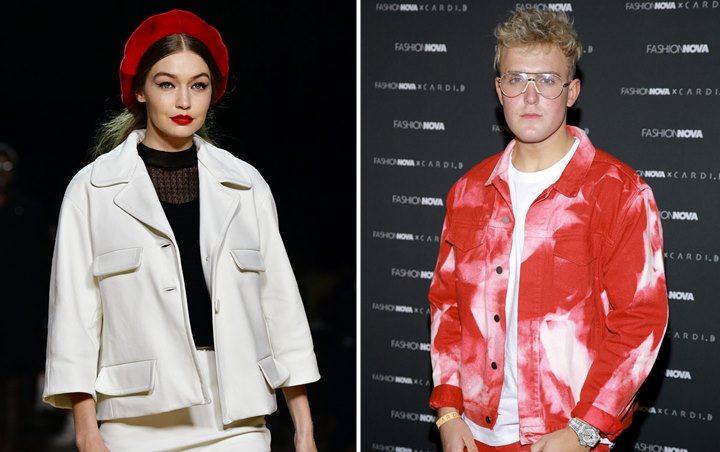 Gigi Hadid Amuk Jake Paul Habis-Habisan Gara-Gara Hina Zayn Malik