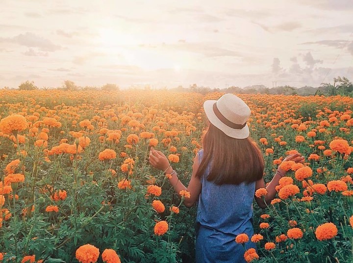 Ladang Bunga Marigold di Taman Gemitir, Wisata Anti Mainstream di Bali yang Super Indah