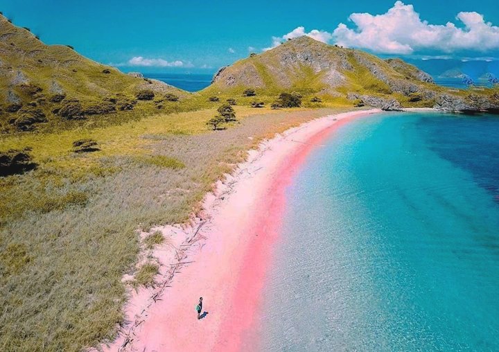 Pantai Tangsi Pantai Pink Di Lombok Timur Yang Cocok Dijadikan Tujuan Bulan Madu